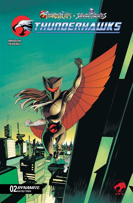 Thundercats X Silverhawks Thunderhawks #2 Cover B Declan Shalvey Variant