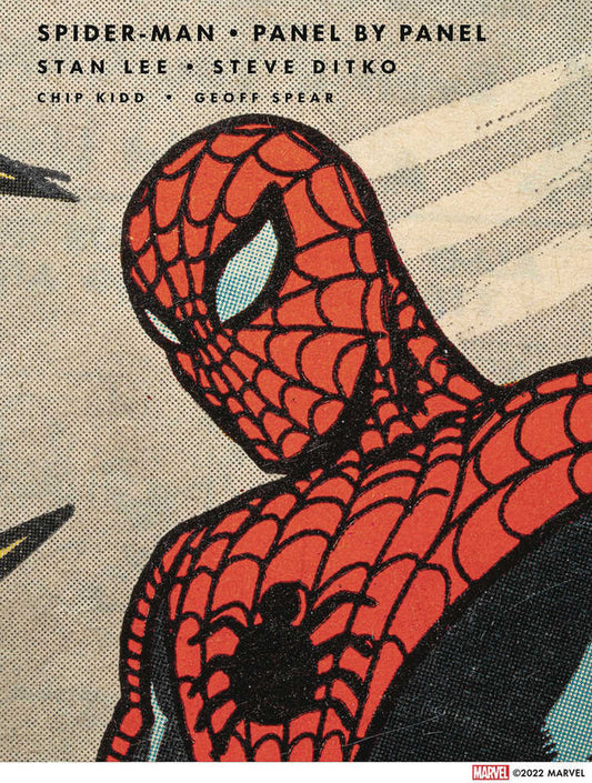 Spider-Man Panel By Panel