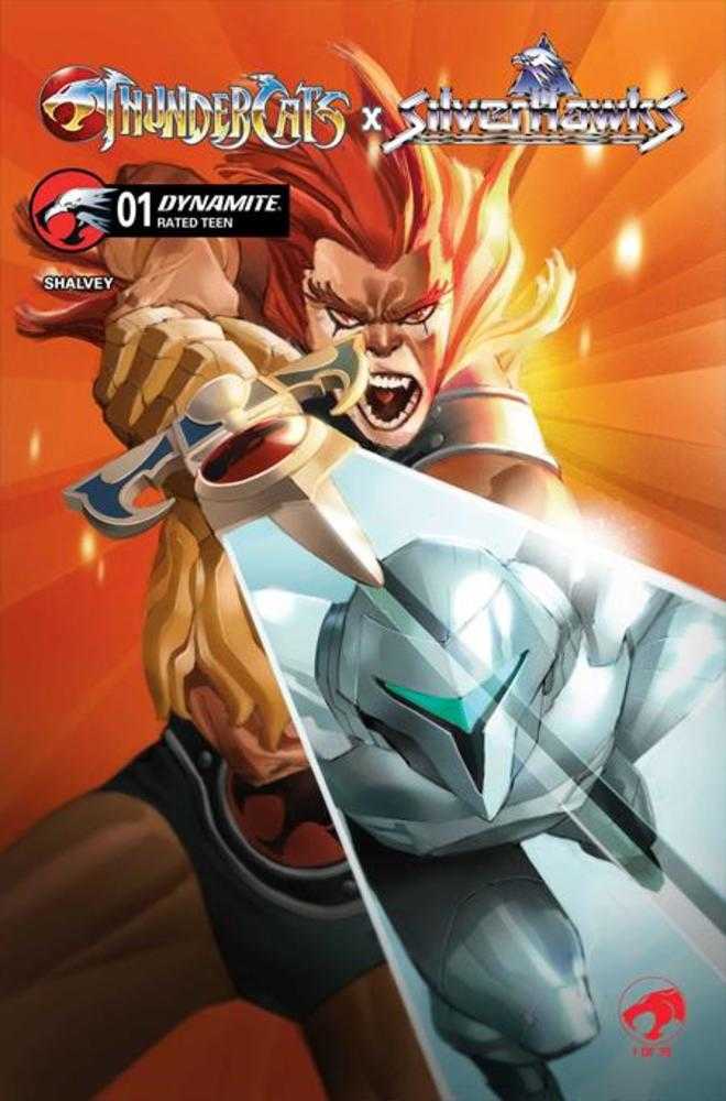 Thundercats X Silverhawks #1 Cover C Eric Canete Variant