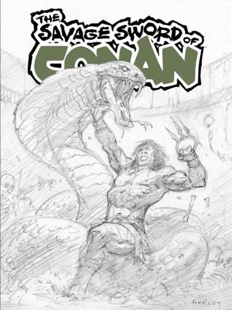 Savage Sword Of Conan #15 Sdcc Exclusive Alex Horley Cardstock Inks Variant (Mature)