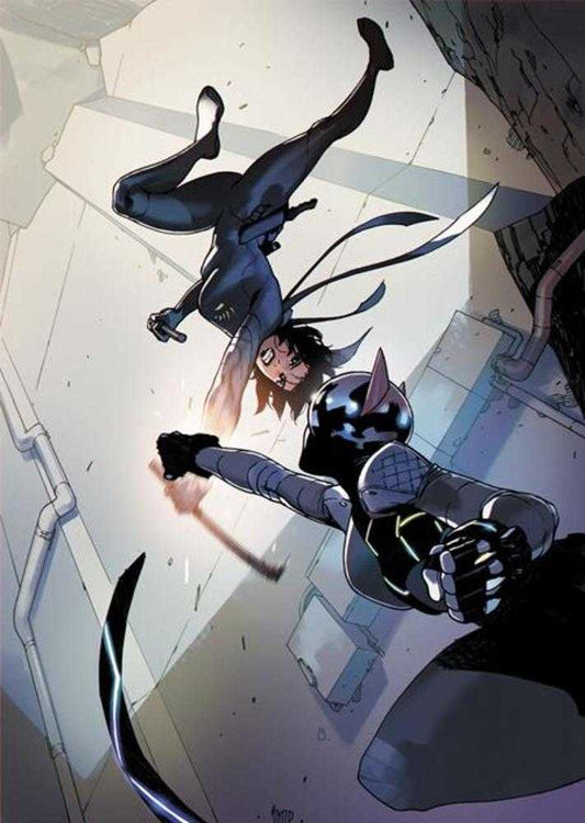 Absolute Catwoman #5 (Of 6) Cover A Bengal