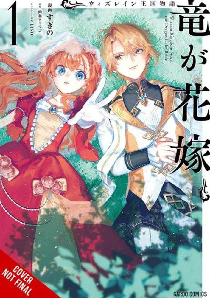 Tale Of The Wizrain Kingdom The Dragon Is The Bride TPB Volume 01