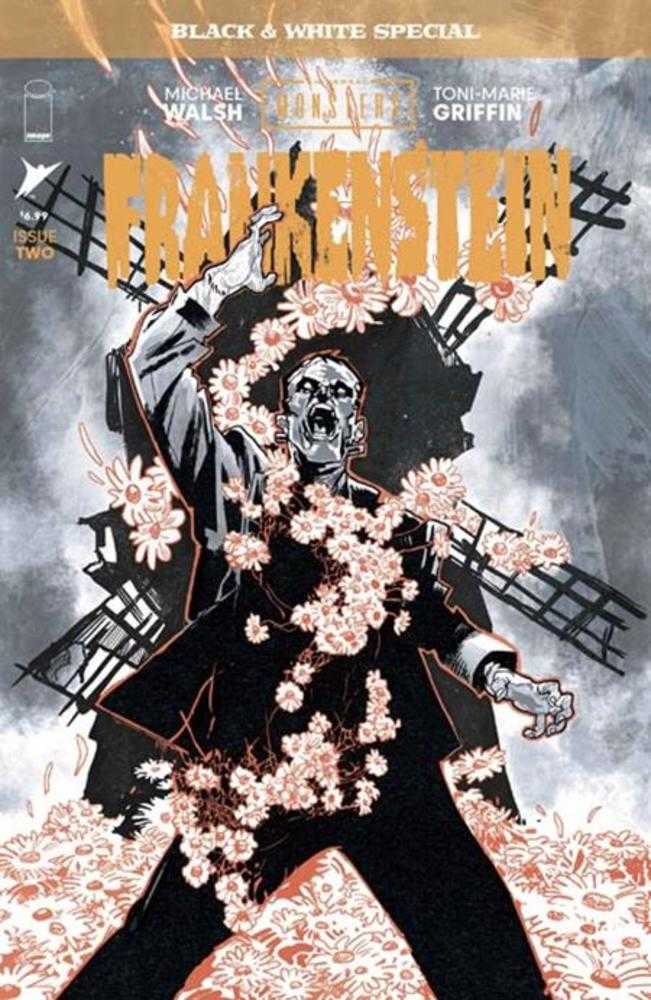 Universal Monsters Frankenstein Black & White Special #2 (Of 2) Cover A Michael Walsh