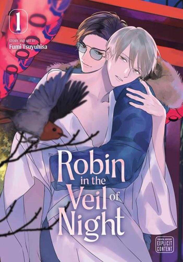 Robin In The Veil Of Night TPB Volume 01 (Mature)