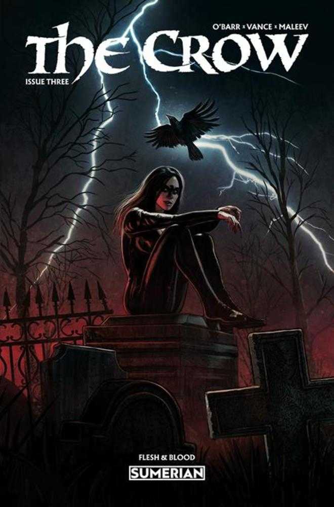 Crow Flesh And Blood #3 Cover A Eduardo Schaal (Mature)