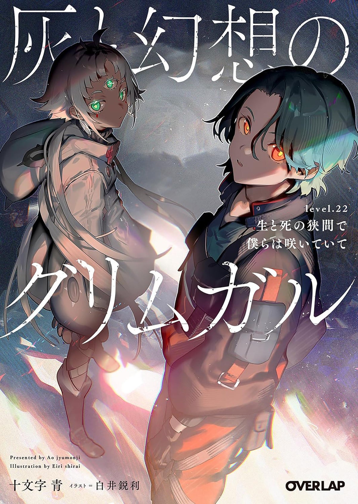 Grimgar Of Fantasy And Ash (Light Novel) Volume. 22