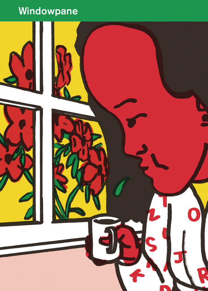 Windowpane Graphic Novel