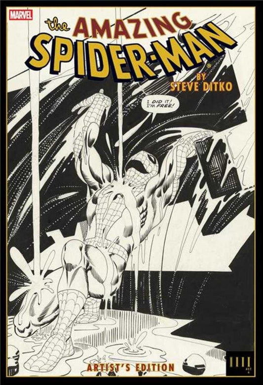 Amazing Spider Man By Steve Ditko Artists Edition Hardcover Rain Cover