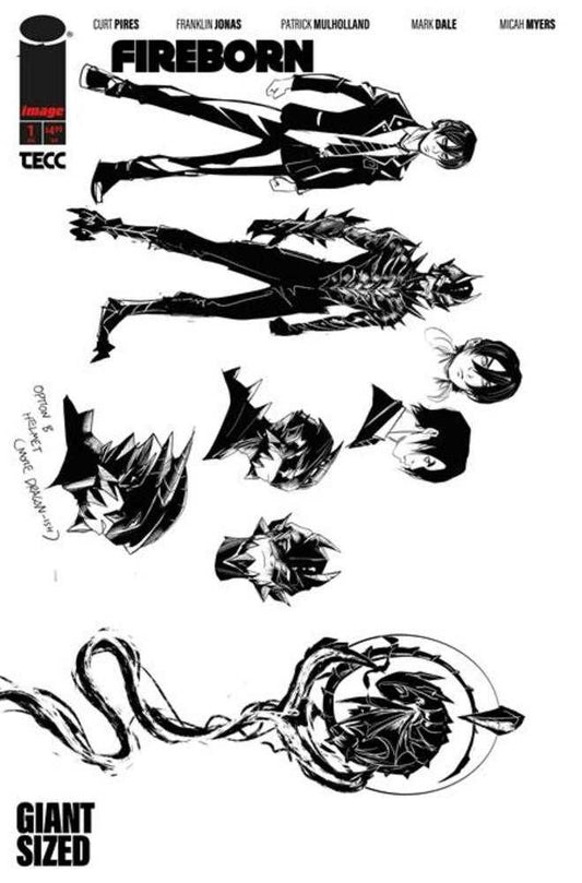 Fireborn #1 Cover F Inc 1:15 Patrick Mulholland Design Variant