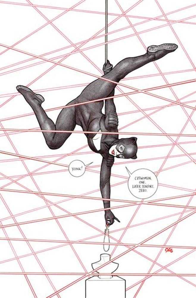 Catwoman #88 Cover B Frank Cho Card Stock Variant