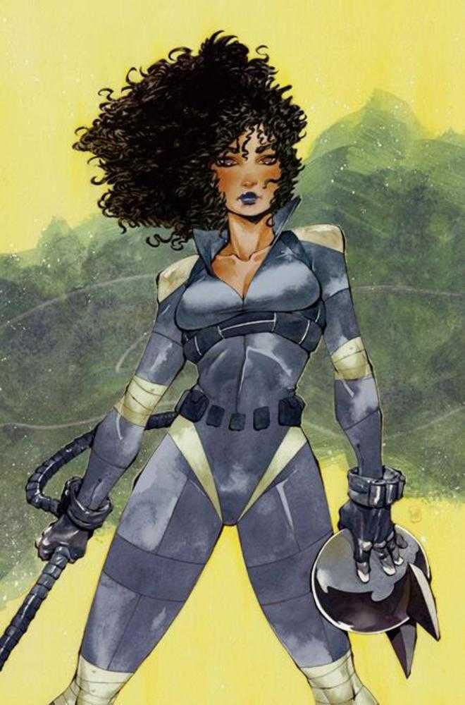 Absolute Catwoman #3 (Of 6) Cover D Chuma Hill Card Stock Variant