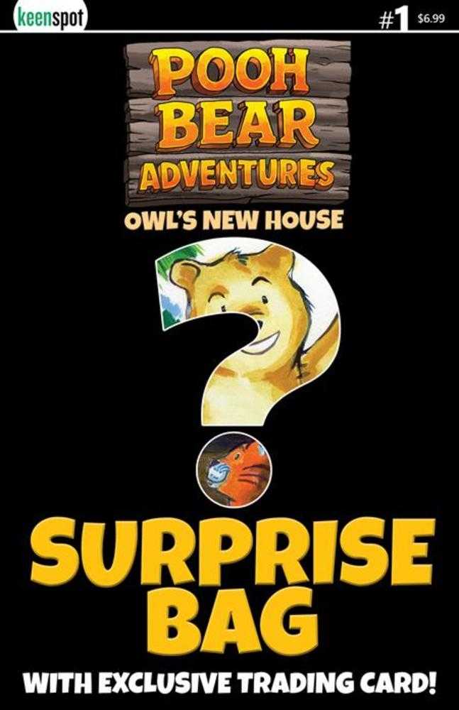 Pooh Bear Adventures Owls New House #1 (One Shot) Cover D Surprise Cover Bagged With Trading Card Variant