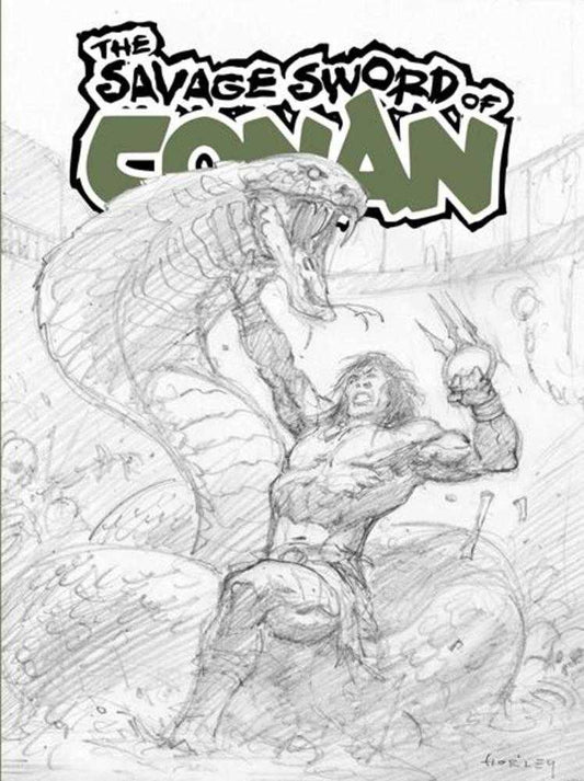 Savage Sword Of Conan #15 Sdcc Exclusive Alex Horley Cardstock Inks Variant (Mature)