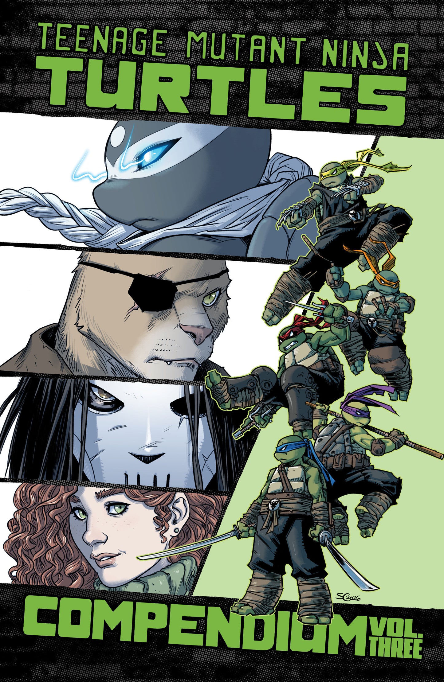 Teenage Mutant Ninja Turtles: Ongoing Compendium, Volume. 3