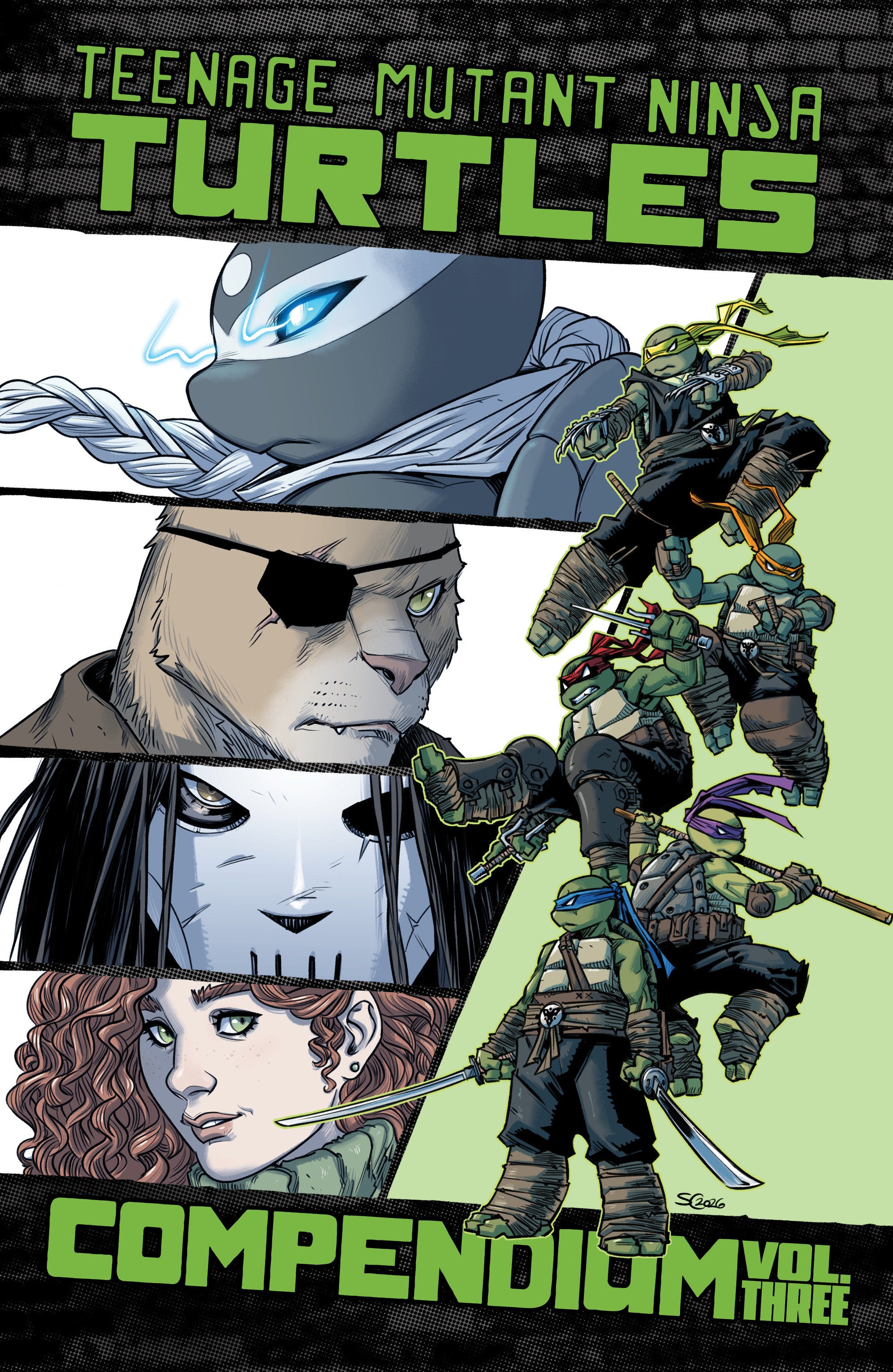 Teenage Mutant Ninja Turtles: Ongoing Compendium, Volume. 3