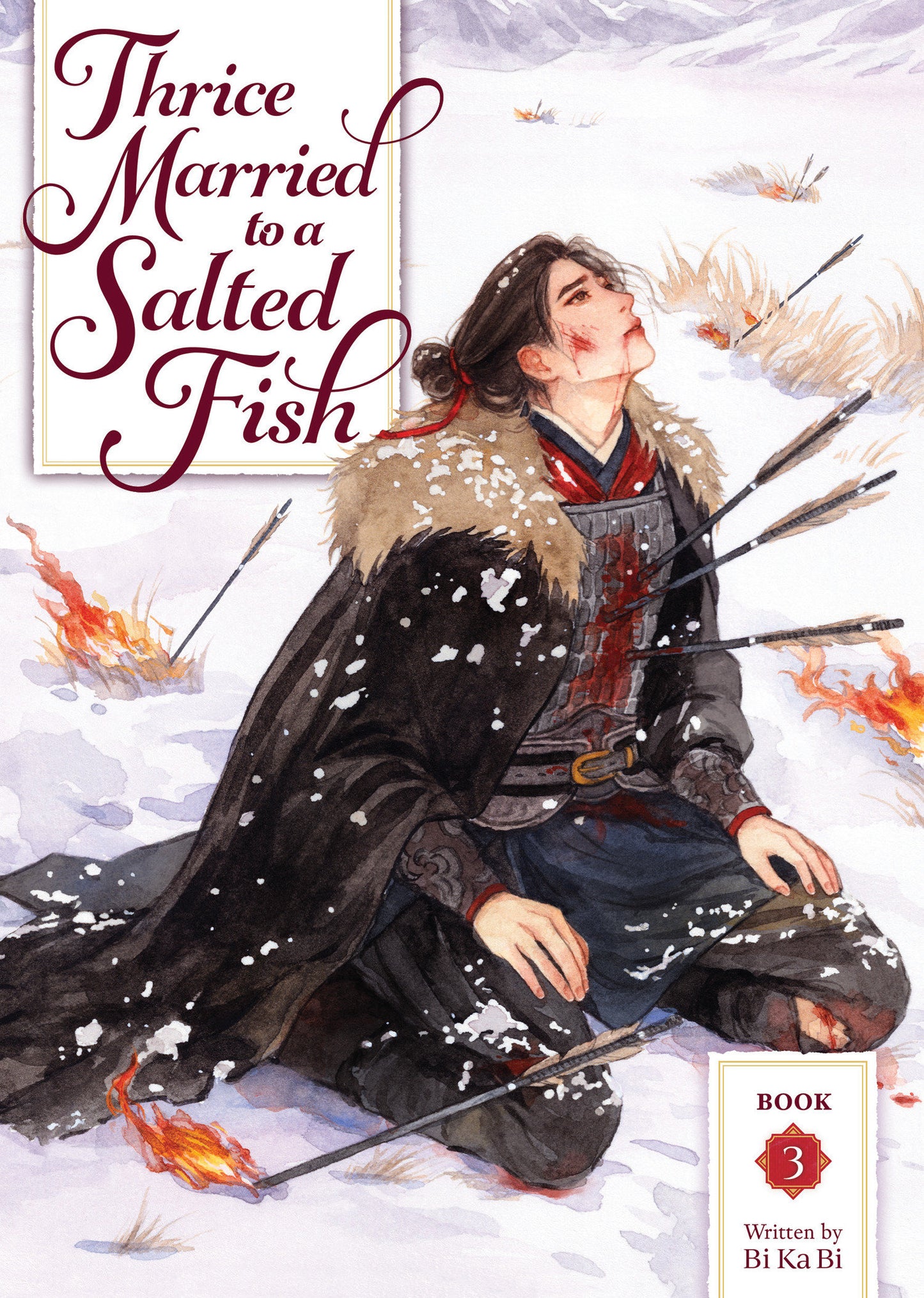 Thrice Married To A Salted Fish (Novel) Volume. 3